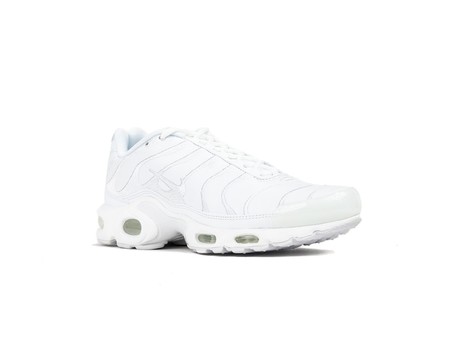 NIKE AIR MAX PLUS-AJ2029-100-img-2