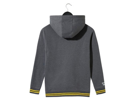 SUDADERA VANS HARRY POTTER HOGWARTS ASPHALT HEAT-VN0A4584O8W-img-1