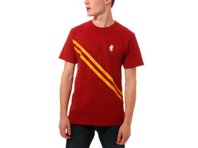 CAMISETA VANS HARRY POTTER GRYFFINDOR-VN0A45A71OA-img-1