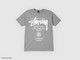 Camiseta Stussy World Tour Tee Gris-SMST1903817/GREY-img-1