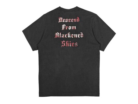 CAMISETA WASTED SCYTHE T-SHIRT FADED BLACK